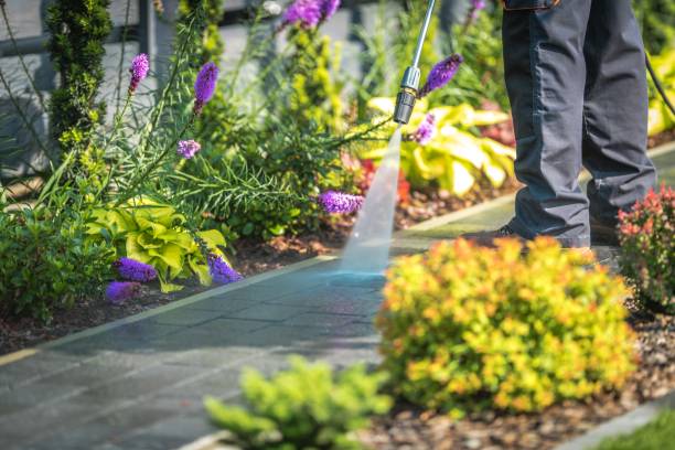 Reliable Destrehan, LA  Pressure Washing Services Solutions